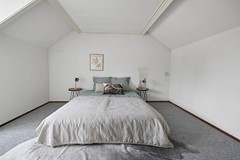 Tormentil 5 Castricum De Groot 42.JPG